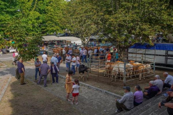 Feira das Debulhas - Concurso Pecu&aacute;rio de Bovinos