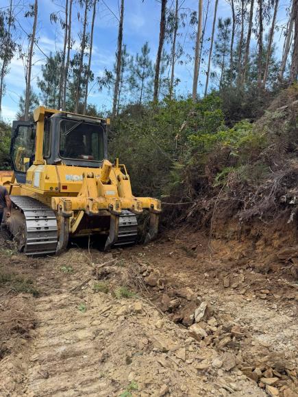 Limpeza e alargamento de caminhos florestais em Fermedo